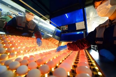 復(fù)工啦!這些畫(huà)面從未如此激動(dòng)人心