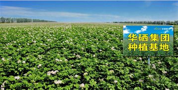 珠海華硒集團(tuán)邵有林同志受聘為中國(guó)管理科學(xué)研究院行業(yè)發(fā)展研究所高級(jí)研究員