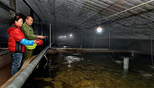 中國(guó)網(wǎng)新聞中心 傳遞中國(guó)價(jià)值