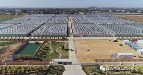 臨沂市食品協會組織會員單位 赴山東沃華智慧農業科技園考察