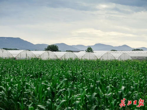 38家 武漢新增一批省級休閑農(nóng)業(yè)重點園區(qū)鳳凰網(wǎng)湖北 鳳凰網(wǎng)