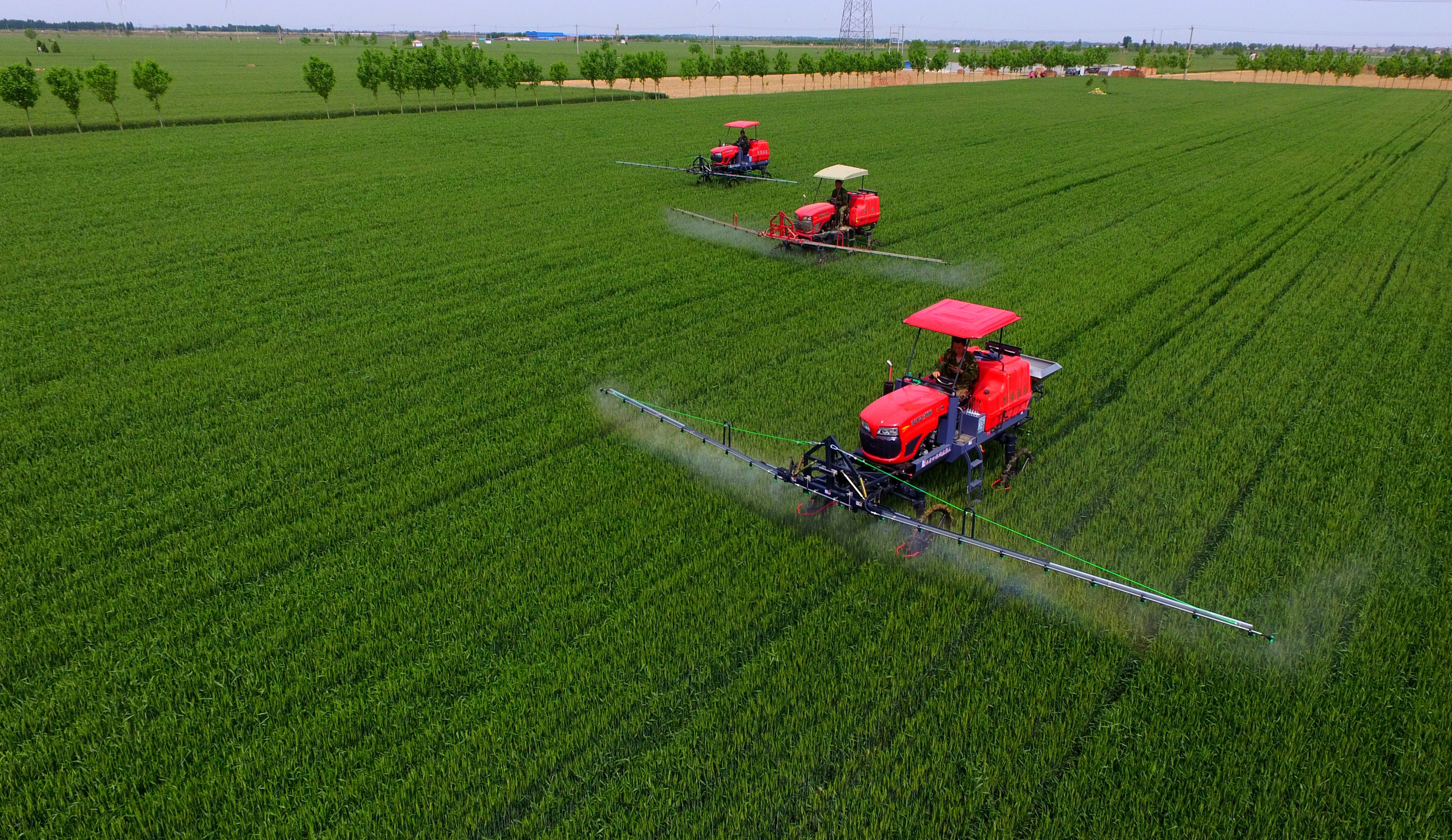 夏糧豐收在望 農(nóng)業(yè)&ldquo;壓艙石&rdquo;穩(wěn)固--鄉(xiāng)村振興不斷夯實經(jīng)濟(jì)社會發(fā)展根基