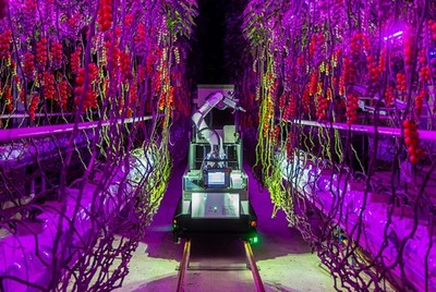 電裝與Certhon跨界創(chuàng)新實踐 Artemy機器人 開啟農業(yè)工廠化時代