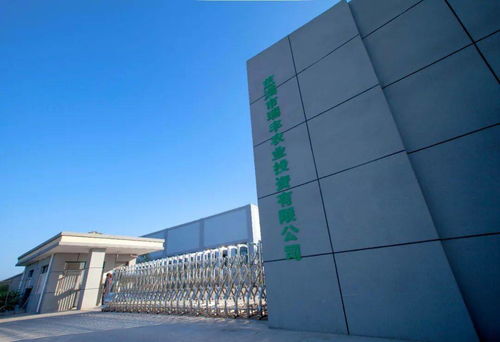 省級金獎 開發區這家公司的精品鮮菇真不錯