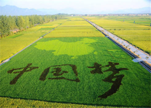 農業部印發《關于大力發展休閑農業的指導意見》 推動農業轉型升級與鄉村振興新引擎